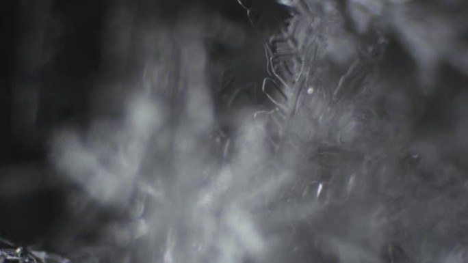 在光学显微镜下平滑聚焦霜冻晶体。雪晶和迷宫王国。宏观世界的迷人之美。