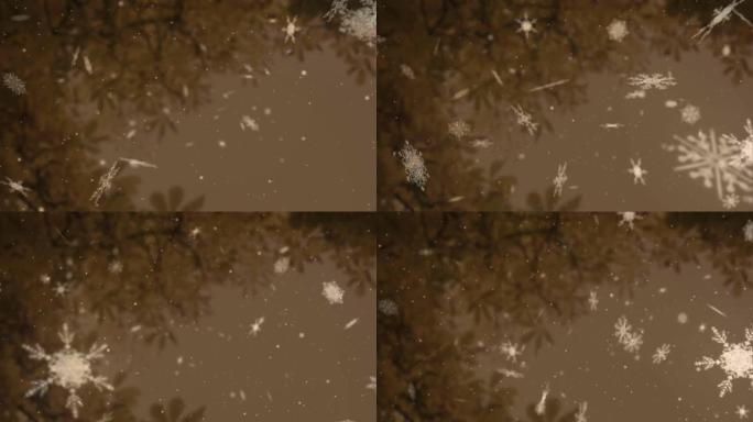 棕色背景上的雪落在树上的动画