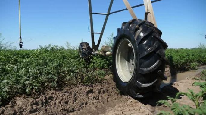 夏季种植绿土豆和一个大型轮田喷药系统