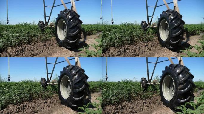 夏季种植绿土豆和一个大型轮田喷药系统