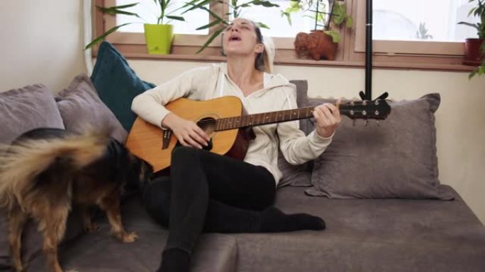 年轻女子在她的狗唱歌时弹吉他