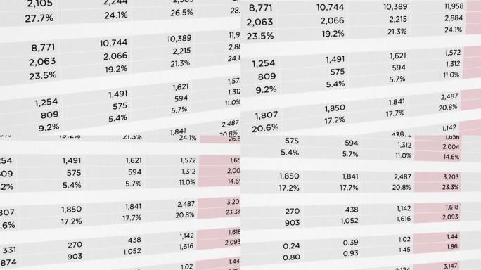 公司财务报表报告。收入和利润统计。