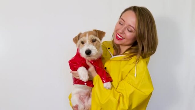一个穿着黄色雨衣的女孩手里拿着一只杰克罗素梗狗。孤立在白色背景上。
