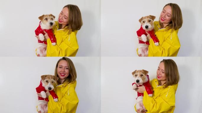 一个穿着黄色雨衣的女孩手里拿着一只杰克罗素梗狗。孤立在白色背景上。