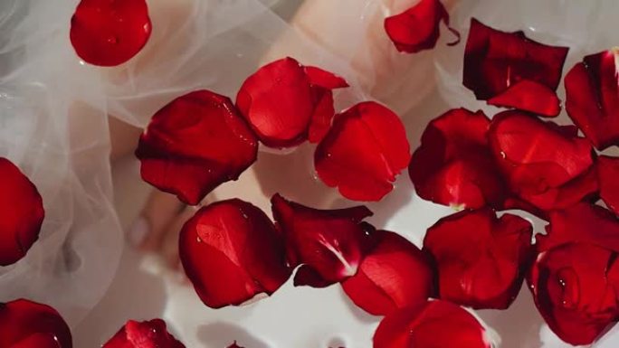 红色玫瑰花瓣漂浮在浴室的水面上。花瓣的特写