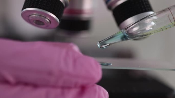 在生物技术实验室工作的科学家在载玻片上滴液体。