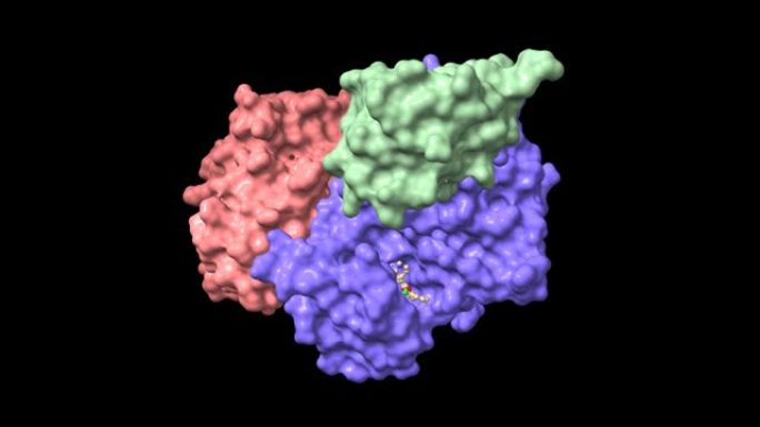 用Flavopiridol G2-mitotic-specific细胞周期蛋白B1 (粉红色)，细胞