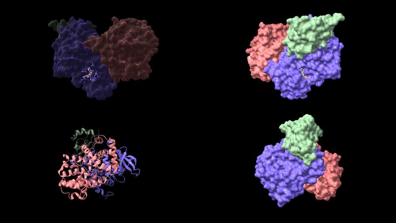 用Flavopiridol G2-mitotic-specific细胞周期蛋白B1 (粉红色)，细胞