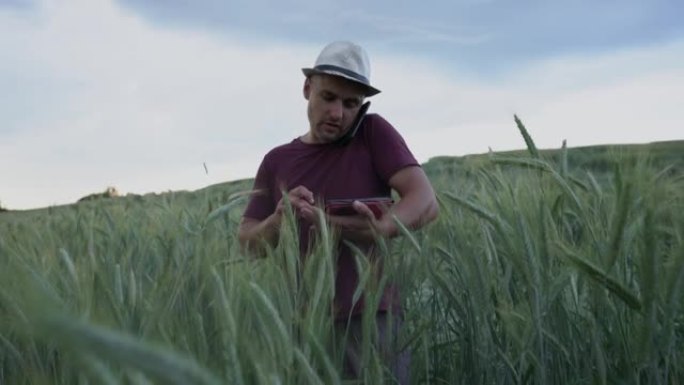 帽子上的男人农艺师看着平板电脑，并在麦田上通过电话交谈