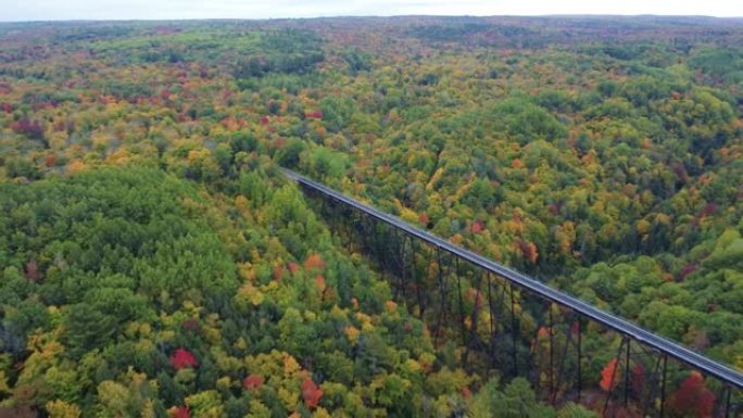 加拿大空中火车轨道坠落