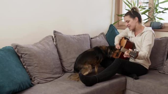 年轻女子在她的狗唱歌时弹吉他