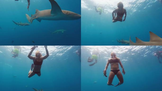 一群朋友在马尔代夫的公海与护鲨一起游泳 (Natalia Bochkareva，Ildar M，Eg