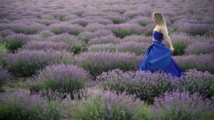 慢动作-一个穿着蓝色连衣裙的金发女孩在夏天的日落在开花的灌木丛中走在薰衣草的田野上。薰衣草游客中的漂