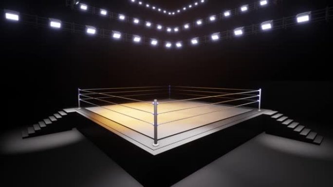 运动摔跤和拳击。运动4k专业背景动画