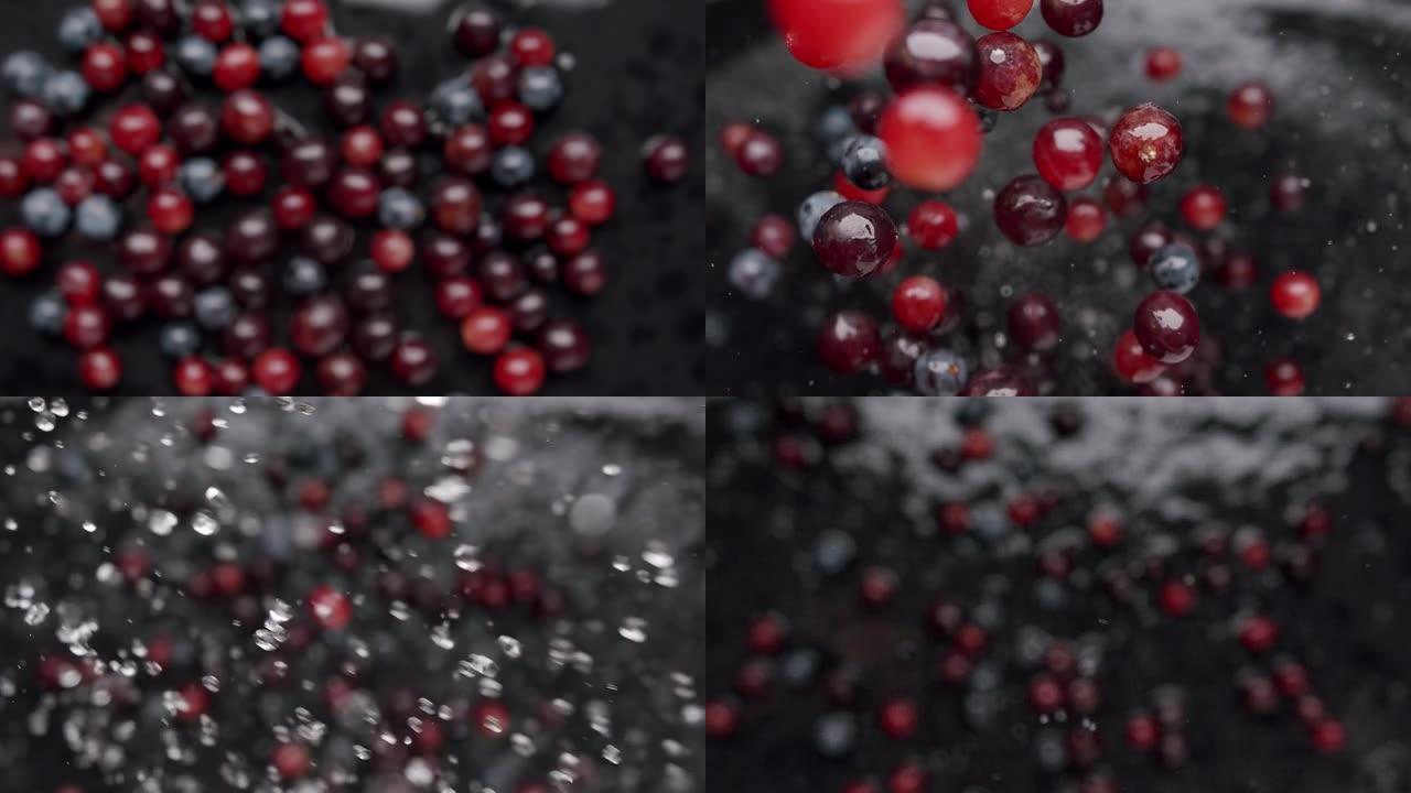 成熟的蓝色，黑色，红色的葡萄跳起来并掉落在带有水的黑色背景上