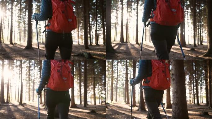 带着徒步旅行装备，无法辨认的女人在森林里徒步旅行