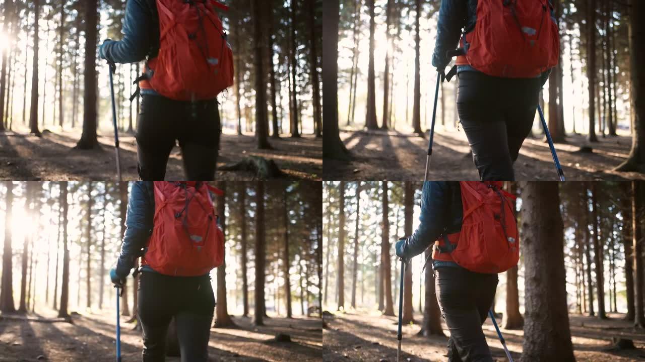 带着徒步旅行装备，无法辨认的女人在森林里徒步旅行