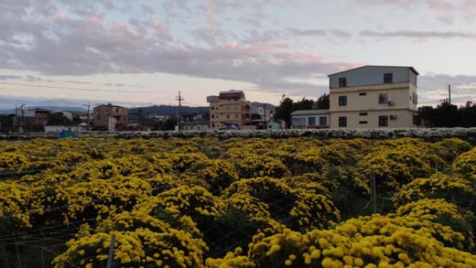 台湾苗栗县铜锣航居生活节