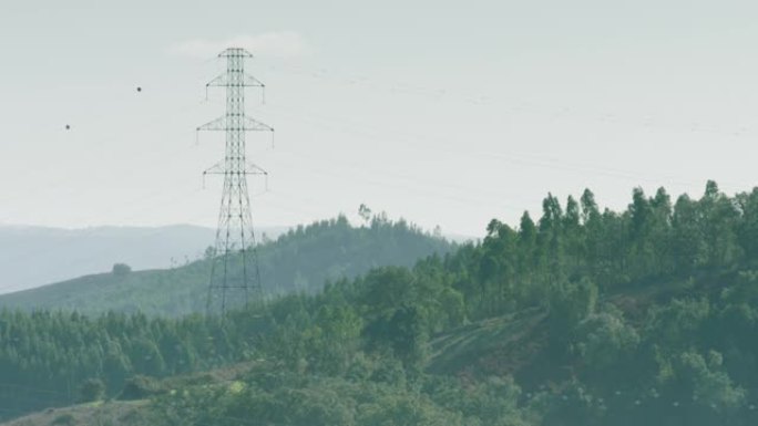 在朦胧的森林景观中，高大的电塔在远处升起，