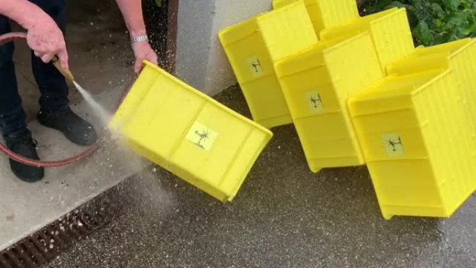 女人洗黄色的塑料盒