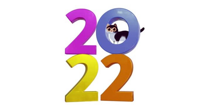 2022新年快乐猫概念。孤立在白色背景上。
