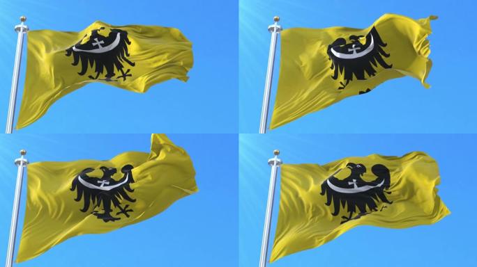 下西里西亚州voivodesship旗，波兰。循环