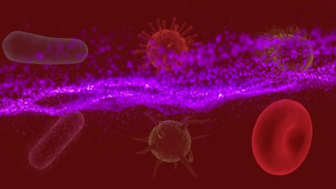 红色背景上移动细胞的紫色波动画