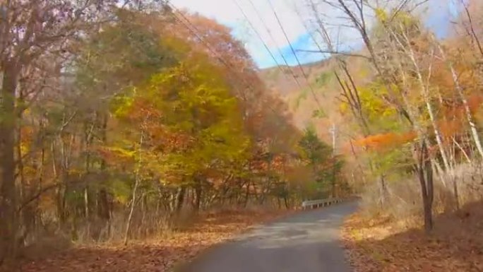 秋叶美丽的山中之路