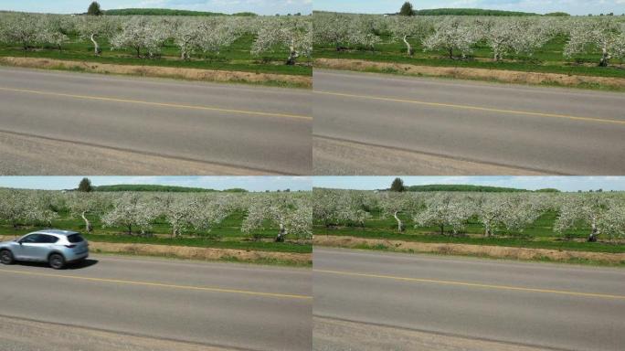 简短的航拍视频显示了appel树的田野穿过街道，一辆汽车经过