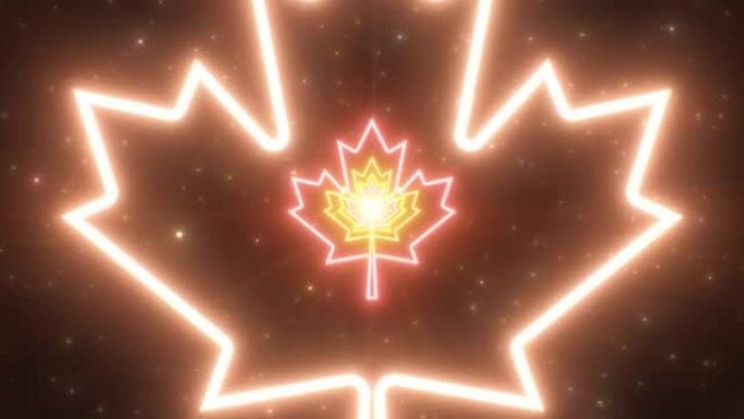 枫叶秋季秋季感恩节霓虹灯隧道加拿大-4k无缝VJ循环运动背景动画