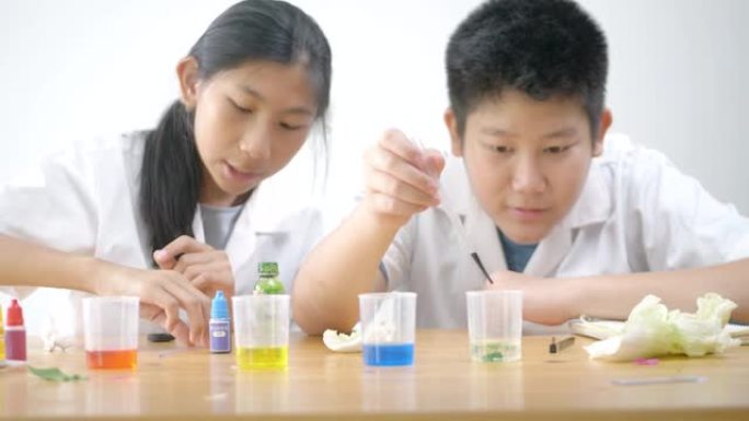 穿着实验服的亚洲学童用水在烧杯中滴落颜色，科学实验，