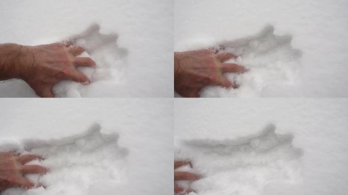 男性的手在慢动作中带走蓬松的雪。