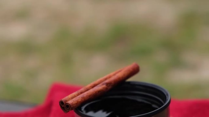 秋天公园户外的热杯里有肉桂棒的热酒。红领巾秋季野餐