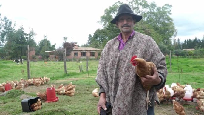 一个农民男子在农场里背着2只鸡的肖像