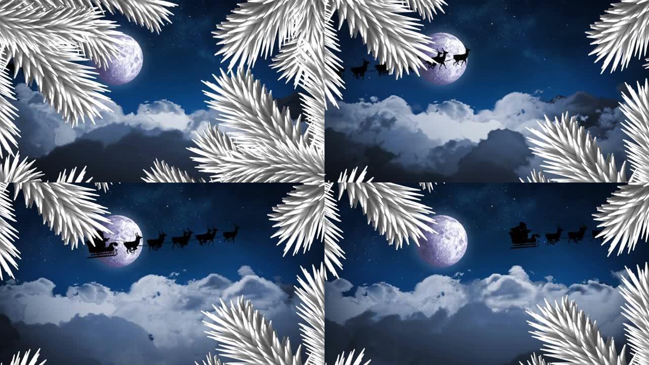 雪橇车上的圣诞老人的白色树枝被驯鹿拉向夜空中的月亮