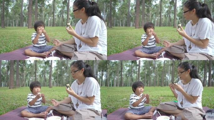 假期期间，亚洲家庭在松树公园一起野餐