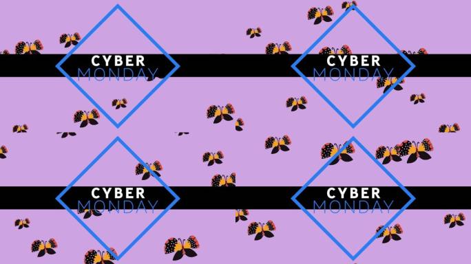 紫色背景上的多个蝴蝶图标上的网络星期一文本横幅数字动画