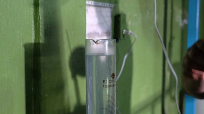 龙舌兰酒生产中使用分米和量筒进行酒精测量