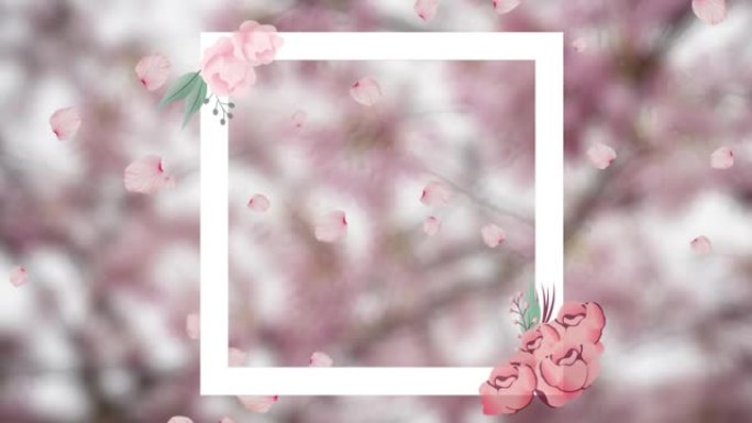 粉红色背景上的花框架动画