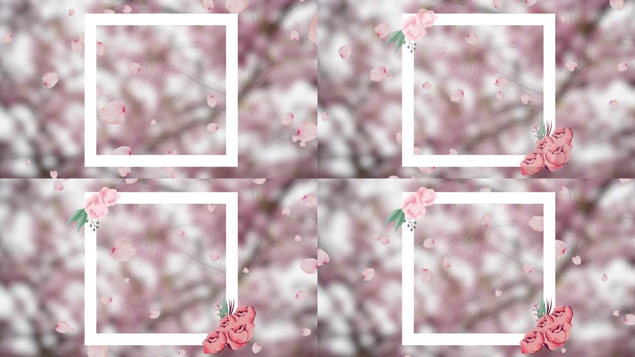 粉红色背景上的花框架动画