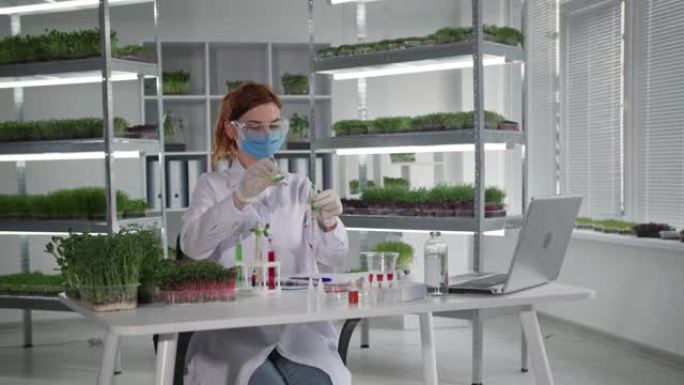 医用口罩女科学家肖像将化学药品滴入植物试管中研究微绿根系和幼苗在实验室中的反应