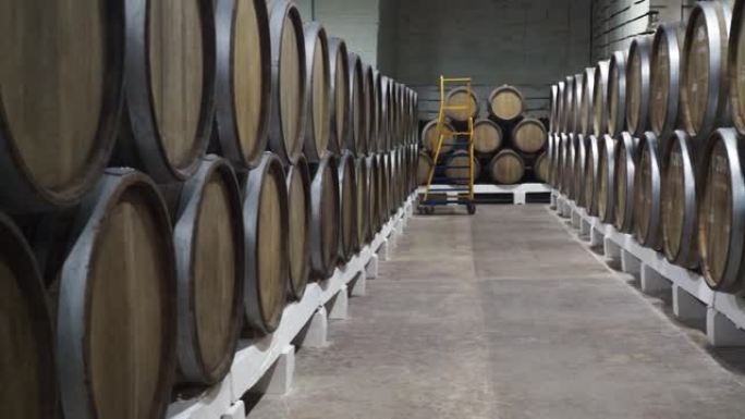 酿酒厂地窖里的大橡木桶葡萄酒。葡萄酒的生产、陈酿