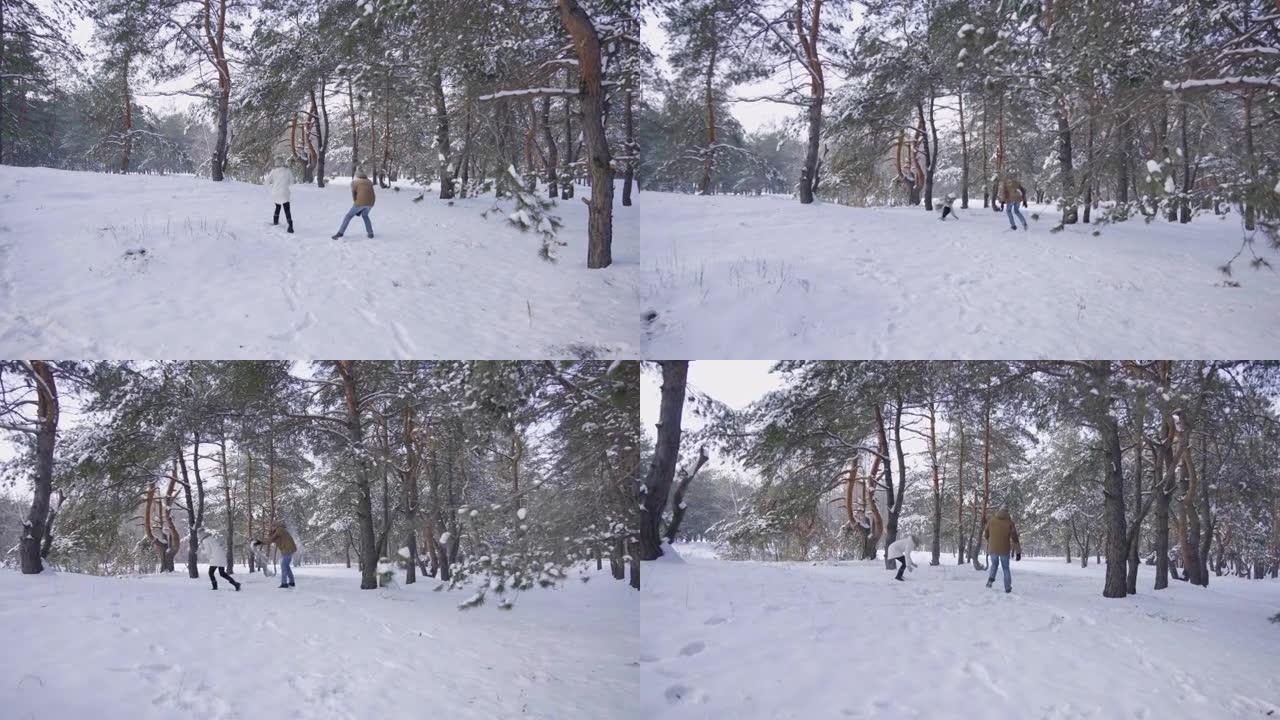 穿着暖和冬装的男孩和女孩正在打雪球，笑着玩得开心。幸福的夫妇喜欢在冬季白雪皑皑的松树林中散步。晴天在