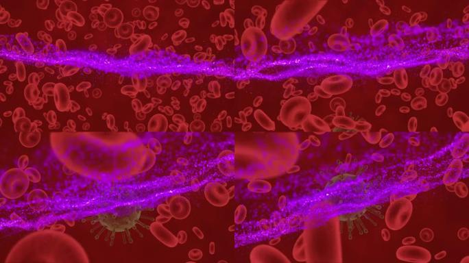 红色背景上移动细胞上的紫色波动画