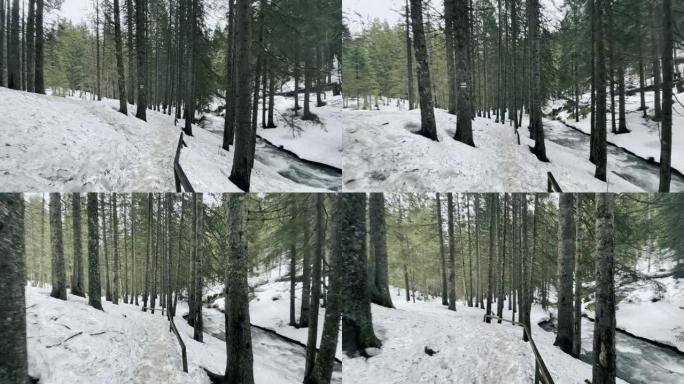 沿着暴风雨河的冬季森林中的道路。在木头和小道里融化雪。