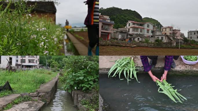 乡村生活 农村 人民