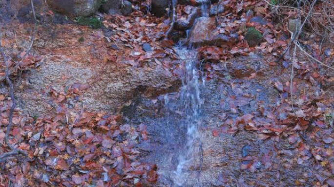 高度透明的水流和落叶