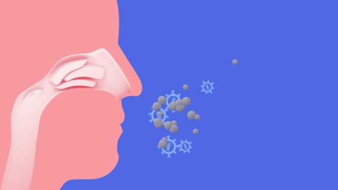 鼻子内部的3d动画 (ENT) 用病毒呼吸空气。