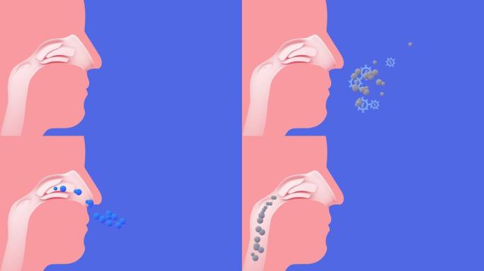 鼻子内部的3d动画 (ENT) 用病毒呼吸空气。