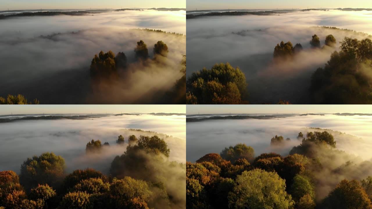 鸟瞰图。薄雾笼罩的乡村的日出。神奇的雾到地平线。史诗般的惊人的自然景观。日出时雾蒙蒙的五颜六色的树木